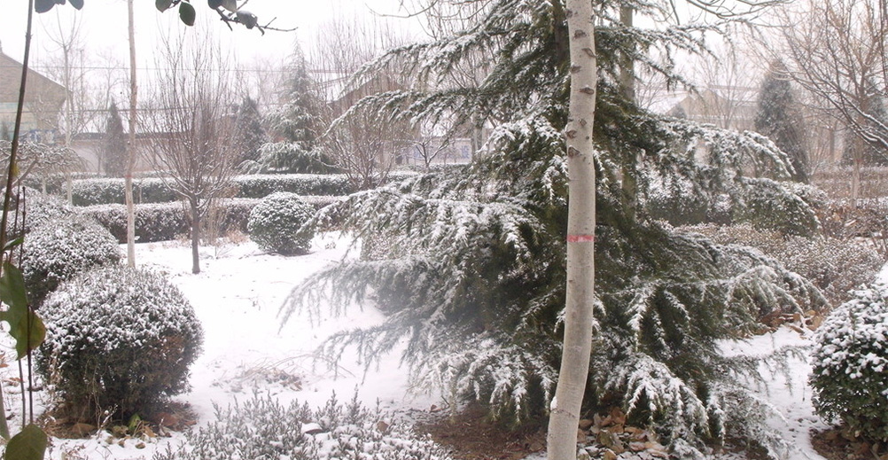 新葡萄(8883·AMG)官方网站|中国游